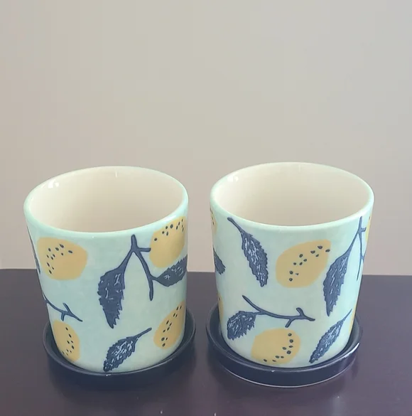 2 Pavo Planter | Patterned Ceramic Planter - Picture 7 of 10